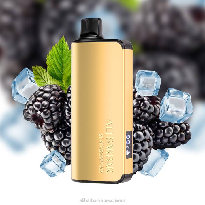 Alibarbar Vape Price Blaubeer-Explosion - Alibarbar Ingot 9000 Einweg-Vaporizer 4D8P15