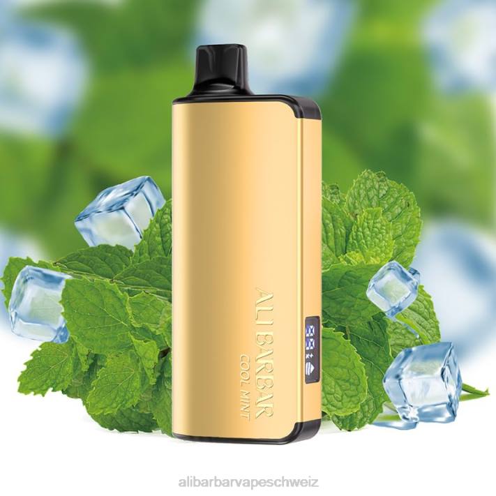 Alibarbar Vape Price kühle Minze - Alibarbar Ingot 20000 Einweg-Vaporizer 4D8P35