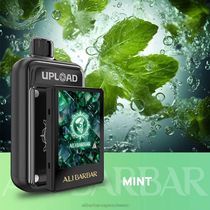 Alibarbar Vape Schweiz Minze - Alibarbar hochladen 4D8P117