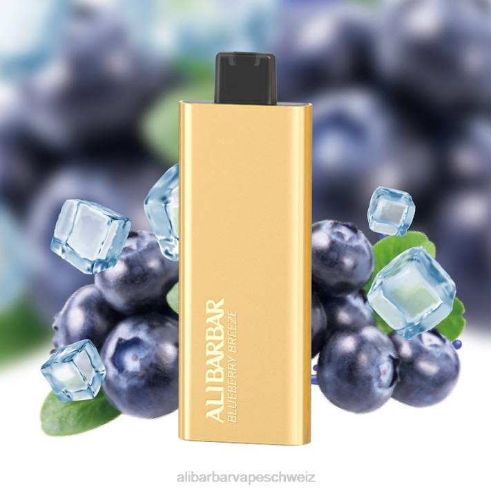 Alibarbar Vape Price Blaubeerbrise - Alibarbar Pandora 7000 Einweg-Vaporizer 4D8P51